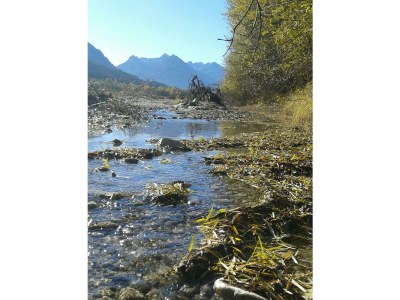 Apartment Ferienwohnung 1, 1 Schlafzimmer - Outdoor photo 35