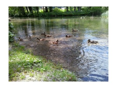 Apartment Ferienwohnung 2, 1 Schlafzimmer - Outdoor photo 7