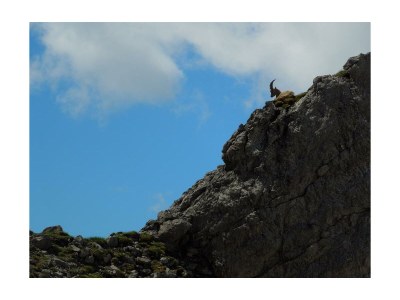 Apartment Appartement - 2 Schlafzimmer - Outdoor photo 2