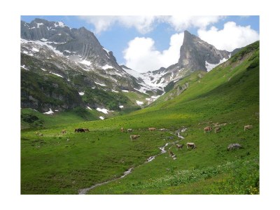 Apartment Appartement - 2 Schlafzimmer - Outdoor photo 4