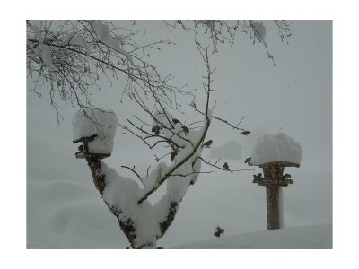 Apartment Appartement - 2 Schlafzimmer - Outdoor photo 25