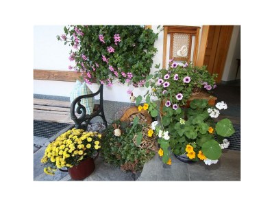 Apartment Appartement - 2 Schlafzimmer - Outdoor photo 27