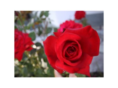 Apartment Appartement - 2 Schlafzimmer - Features photo 31