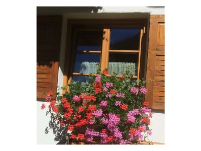 Apartment Fewo Knopplig - Outdoor photo 11