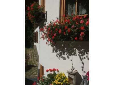 Apartment Fewo Knopplig - Outdoor photo 12