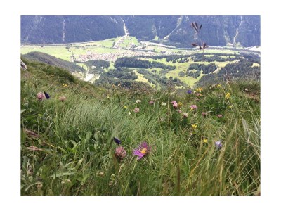 Apartment Fewo Knopplig - Outdoor photo 16