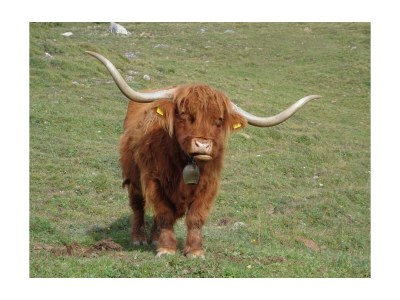 Apartment Chalet Fallesin - Outdoor photo 12