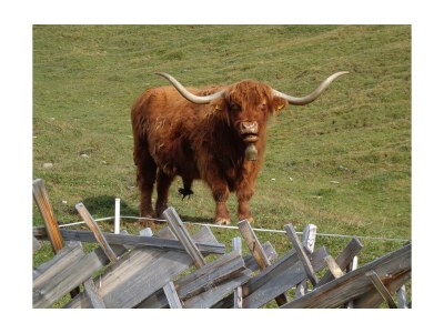 Apartment Chalet Fallesin - Outdoor photo 13