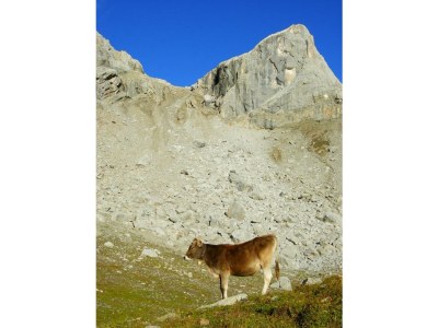 Apartment Chalet Fallesin - Outdoor photo 20