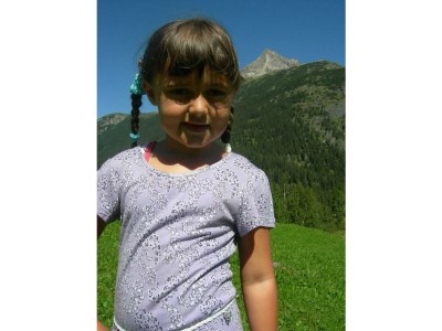 Apartment Chalet Fallesin - Outdoor photo 26