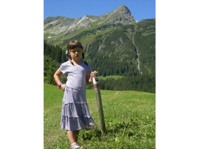 Apartment Chalet Fallesin - Outdoor photo 27