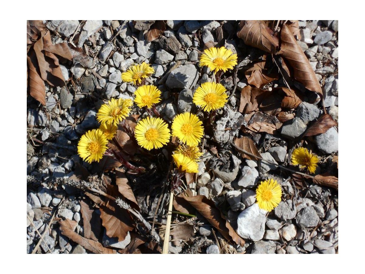 Apartment Appartement/Fewo - Outdoor photo 2