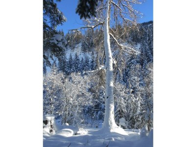 Apartment Appartement/Fewo in Elbigenalp - Apartment