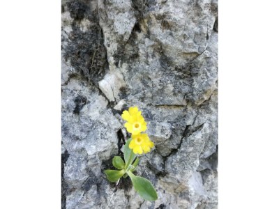 Apartment Appartement/Fewo - Outdoor photo 3