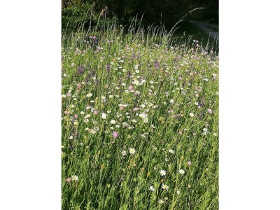 Apartment Appartement/Fewo - Outdoor photo 4