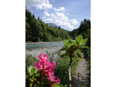 Apartment Appartement/Fewo - Outdoor photo 6