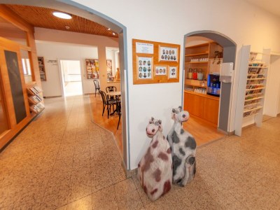 Holiday room Superior Doppelzimmer mit Terrasse - Outdoor photo 5