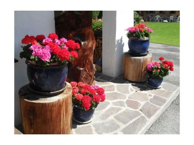 Apartment Himmelbett-Suite - Outdoor photo 6