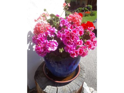 Apartment Himmelbett-Suite - Outdoor photo 84