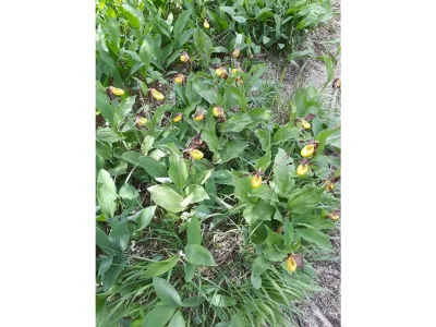 Apartment Himmelbett-Suite - Outdoor photo 97