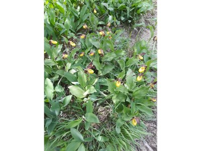 Apartment Himmelbett-Suite - Outdoor photo 110