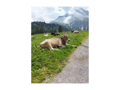 Apartment Ferienhaus - Outdoor photo 19