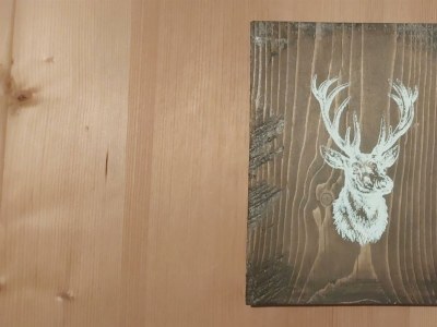 Apartment Ferienhaus - Outdoor photo 21