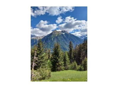 Apartment Ferienhaus - Outdoor photo 23