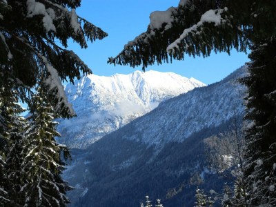 Apartment Ferienhaus - Outdoor photo 27
