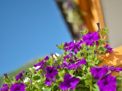 Apartment Apartment ARLBERG MAXI - Outdoor photo 7