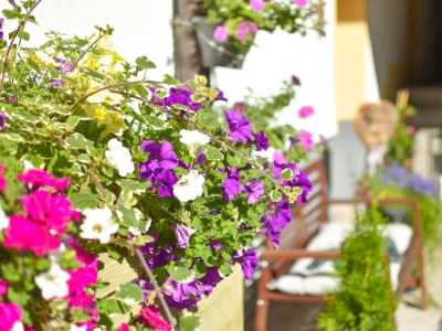 Apartment Apartment ARLBERG MAXI - Outdoor photo 8