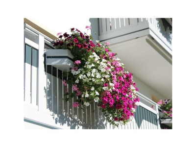 Apartment FW Nr. 4 - Outdoor photo 9