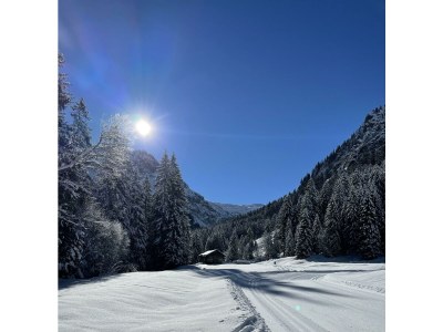 Apartment Ferienwohnung "Elferkopf", 80 m2, OG, Eckbalkon - Outdoor photo 27
