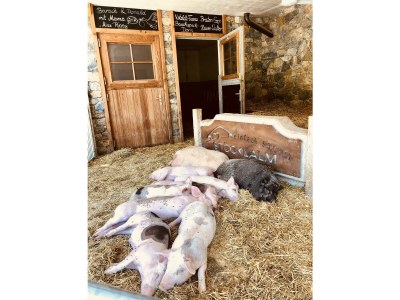 Apartment Hehnastoi 1-5 Pers. - Outdoor photo 19