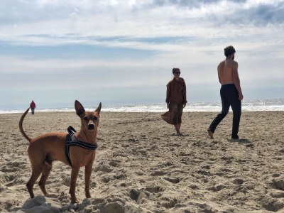 Holiday house Keizerskroon 265 - Environment photo 22