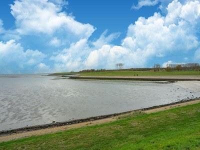 Holiday house Spacious holiday home with sauna - Environment photo 39