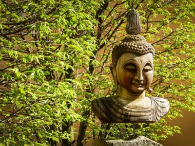 Apartment Weinrefugium - Outdoor photo 9