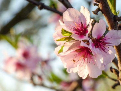 Apartment Weinrefugium - Outdoor photo 14