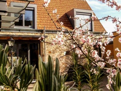 Apartment Weinrefugium - Outdoor photo 16