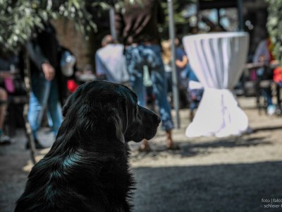 Apartment Weinrefugium - Outdoor photo 18