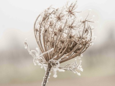 Apartment Weinrefugium - Outdoor photo 20