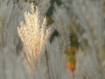 Apartment Weinrefugium - Outdoor photo 22