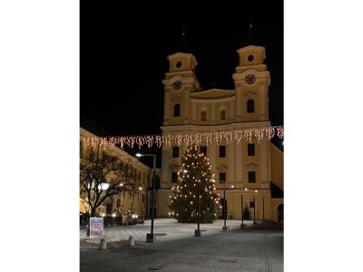 Holiday apartment Weißer Hirsch - Outdoor photo 7