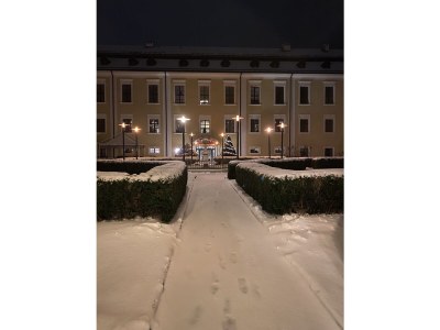 Holiday apartment Weißer Hirsch - Outdoor photo 8