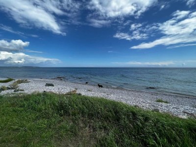 Holiday house 4 person holiday home in Ebeltoft-By Traum - Outdoor photo 22