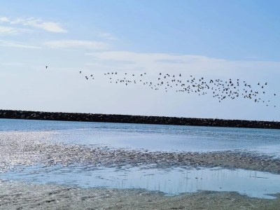 Holiday house 4 person holiday home in Ebeltoft-By Traum - Outdoor photo 34