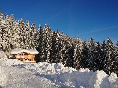 Chalet Romantic Chalet WaldschlÃ¶ssl - Outdoor photo 2