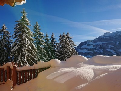 Chalet Romantic Chalet WaldschlÃ¶ssl - Outdoor photo 4