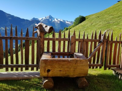 Chalet Romantic Chalet WaldschlÃ¶ssl - Outdoor photo 7