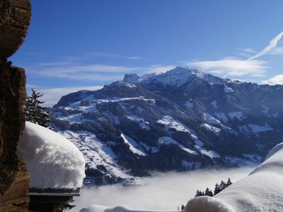 Chalet Romantic Chalet WaldschlÃ¶ssl - Environment photo 19